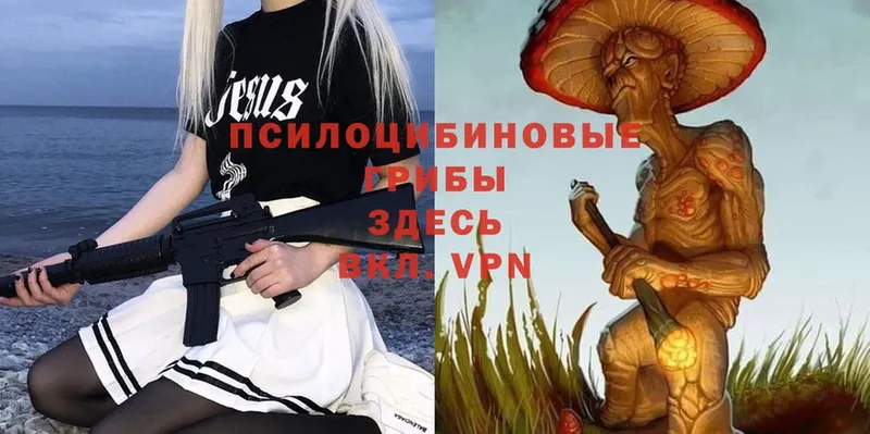 Галлюциногенные грибы Magic Shrooms  купить  сайты  Наволоки 